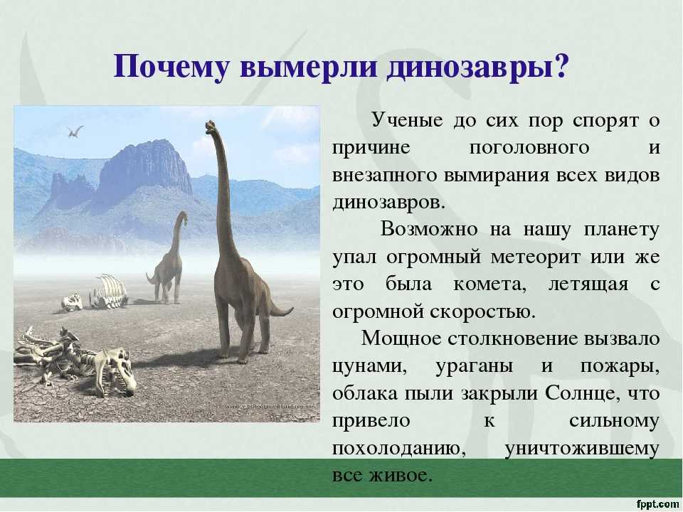 Почему исчезают сайты. Почему вымерли динозавры. Причины вымирания динозавров. Почему исчезли динозавры. Вымершие динозавры причины.