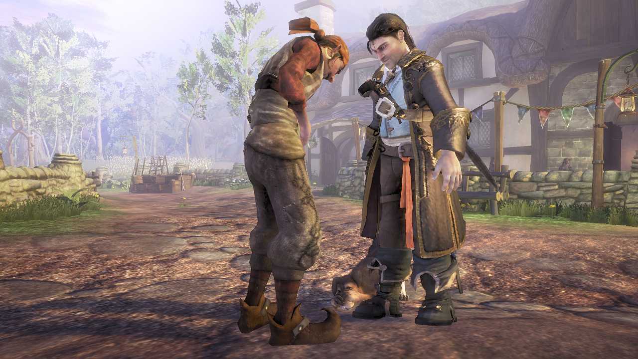Fable ii steam фото 12