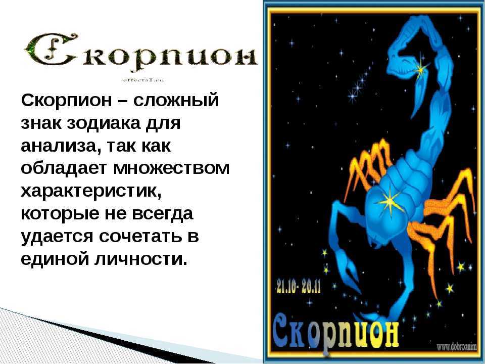 Знак зодиака Скорпион. Скорпион характеристика. Характер скорпиона. Скорпион знак зодиака характеристика.