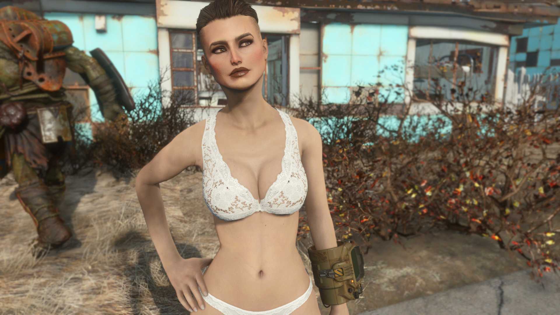 Fallout 4 aim model фото 89